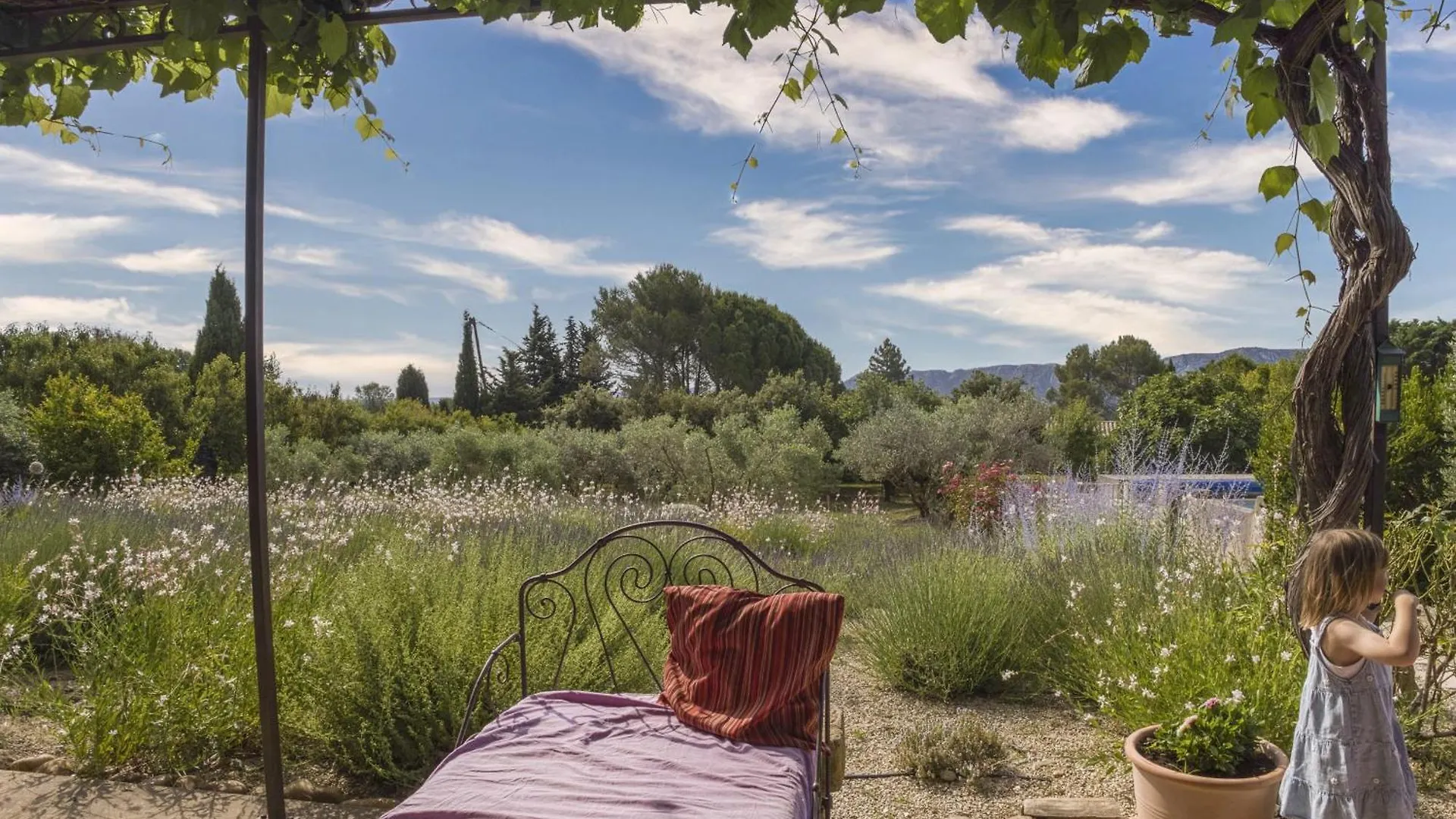 Mas De Lavande Saint-Remy-de-Provence