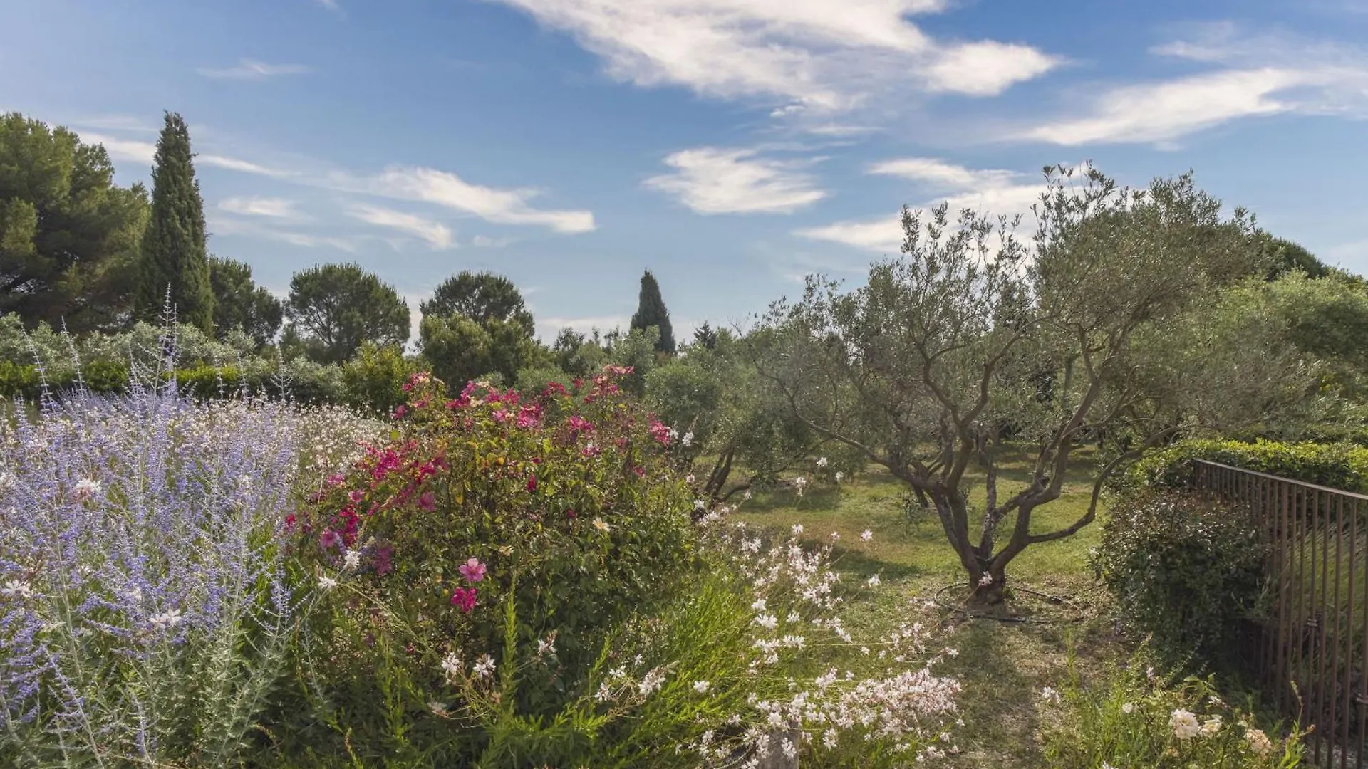 Mas De Lavande Saint-Remy-de-Provence Villa